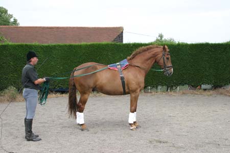 Ollie in halt on the double lunge