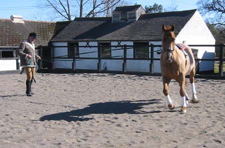 Outside flex to bring outside hind across - trot