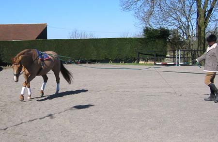 Stretching in trot
