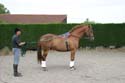 Ollie in halt on the double lunge