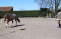 Stretching in trot